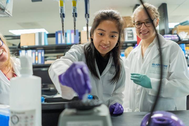 Want your kid to be smart? Heads up: The Bay Area Science Festival is this Saturday