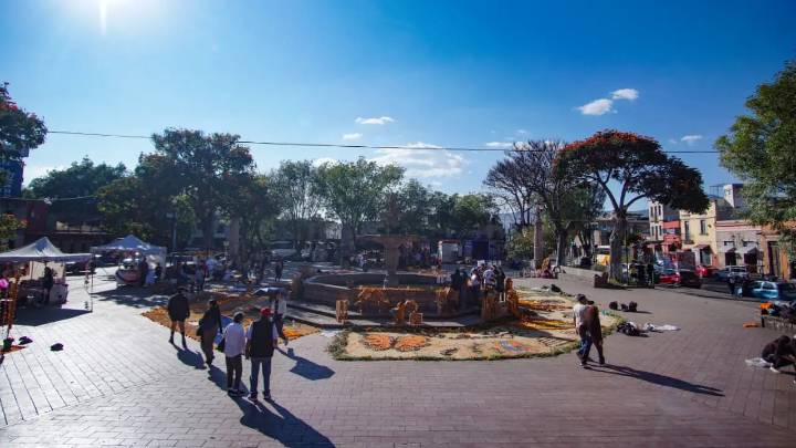 Plaza Carrillo se luce con sus altares del Día de Muertos