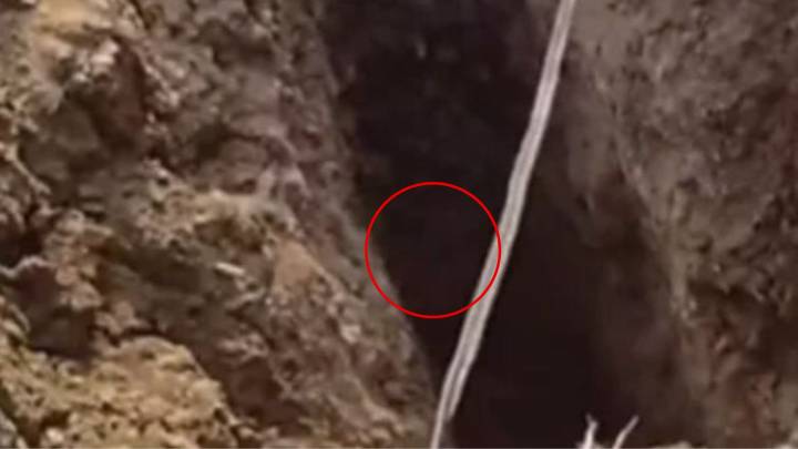 Mysterious Cries From Sinkhole Lead Arizona Worker To Startling Revelation