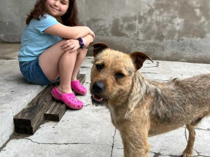 Un perro callejero siguió a una niña durante toda la peregrinación a Luján y su familia lo adoptó: "Se tenían que encontrar"