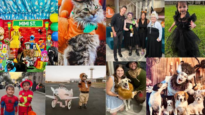 Get in the Halloween spirit! Share your costumes on Click2Pins🎃