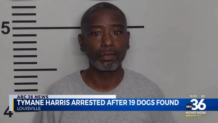 Louisville man arrested after 19 dogs found in extreme neglect