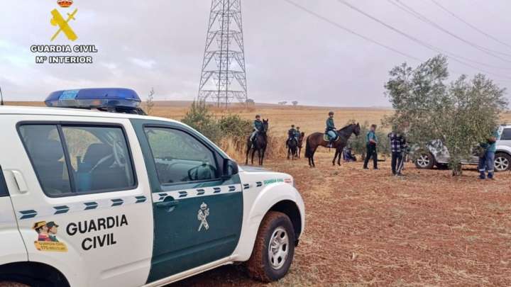 La Guardia Civil intensifica vigilancia y se reducen los robos de aceituna en Tierra de Barros