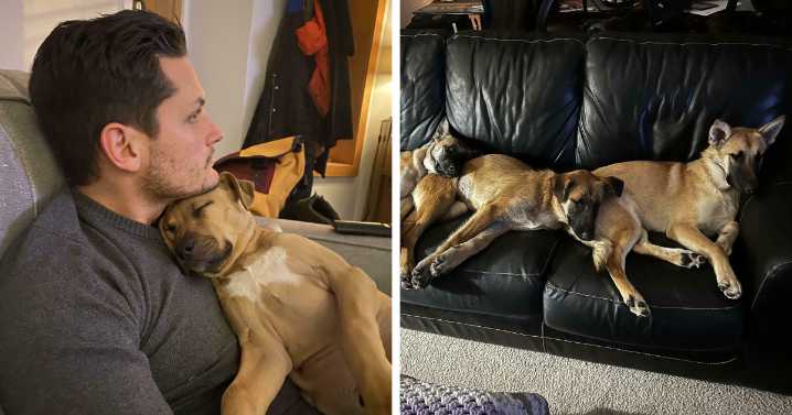 48 Adorable Photos Of People Showing The Pets They’ve Adopted