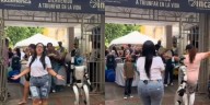 Un robot “bailando” cumbia en la Costa Caribe causó furor en redes sociales: “¿Quién pidió esta señal?"