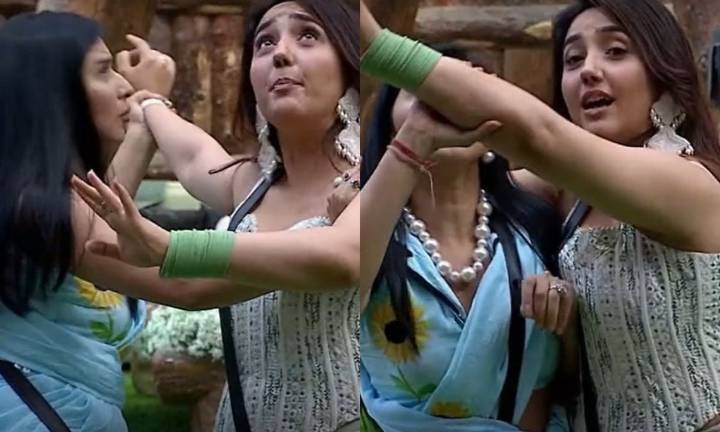 Bigg Boss 19: Tanya Mittal and Neelam Giri face backlash for constantly body