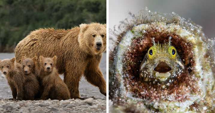 The 1839 Awards Have Announced The Winners Of The 2025 Photographer Of The Year Contest (35 Pics)