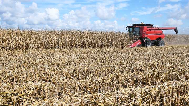 Thompson: Farmers can’t afford another day of government shutdown