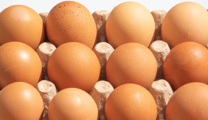 Do not eat, sell or serve: Eggs sold in multiple states recalled for salmonella potential
