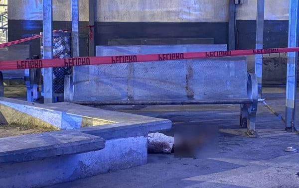 Muere en las jardineras del Hospital General