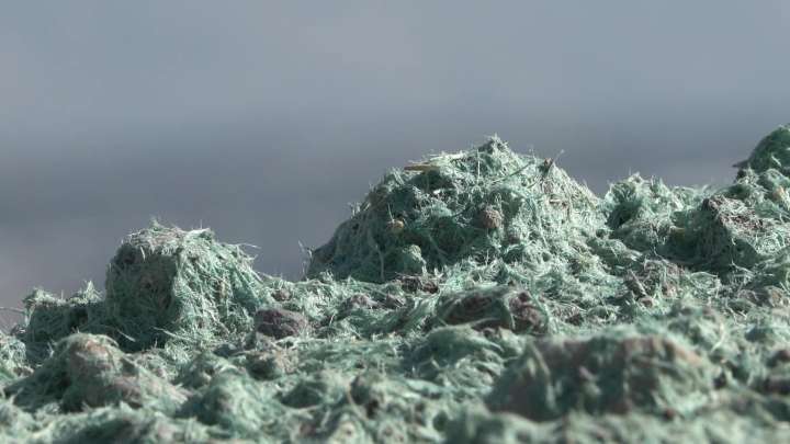 Here's why the sides of some Utah roads are turning green