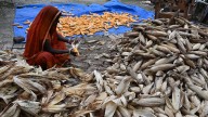 Is landlockedness the reason for Bihar’s underdevelopment?