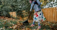 'I'm a gardening expert and you should do 3 essential jobs before the end of the year'