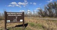 Missing pheasant hunter rescued from Jackson Marsh after experiencing health issue