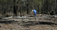 'Get on board': minister's environment overhaul appeal