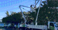 ¡Atención Neuquén! CALF anunció nuevos cortes de luz para este domingo: afectarán varias zonas y uno durará seis horas