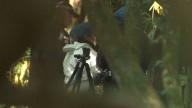 Paramoor Woods: Forensic search for human remains enters fourth month