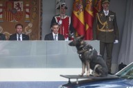 «¡Fuera!» y «¡Dimisión!»: el público estalla contra Pedro Sánchez en el Día de la Fiesta Nacional