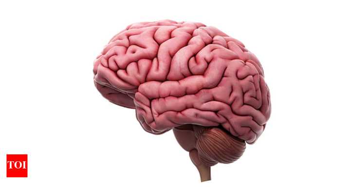 Stroke Risk: Blood type A linked to higher stroke risk: Find out where your blood group stands