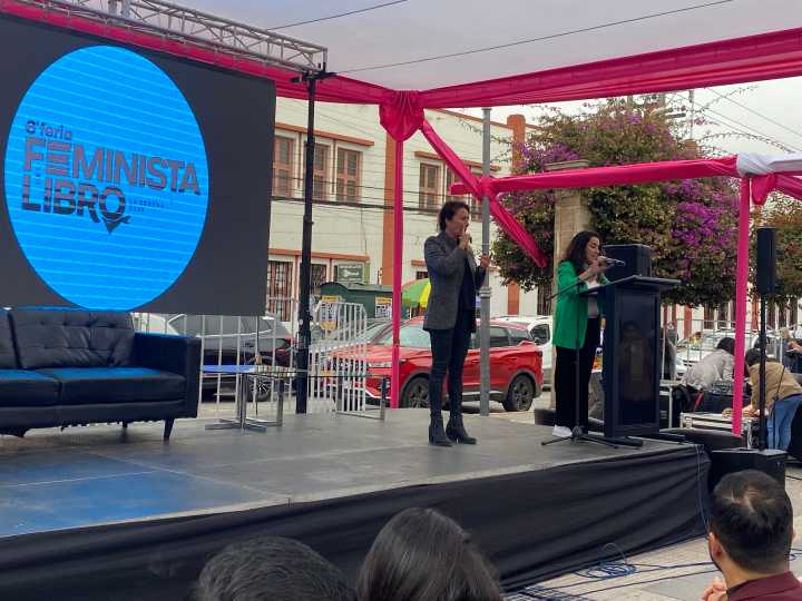 Red Feminista del Libro lanza página web en Coquimbo gracias al Fondo para la Equidad de Género 2025