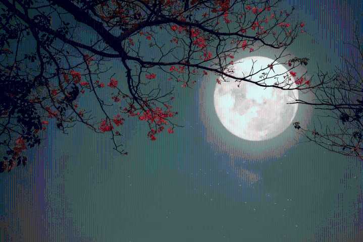 La Luna, protagonista de las noches de octubre y sus eventos astronómicos