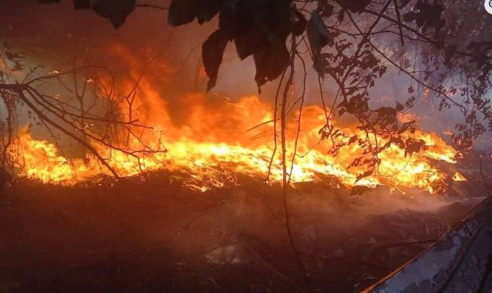 Bomberos sofocaron incendios en Juana Koslay, San Luis y Cortaderas