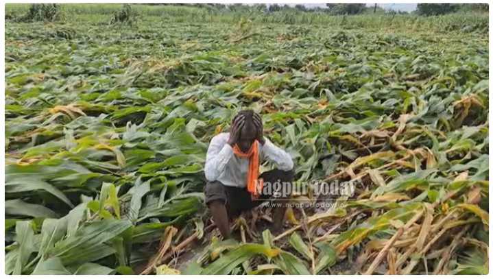 Over 33 lakh Maha farmers to benefit from State flood relief package