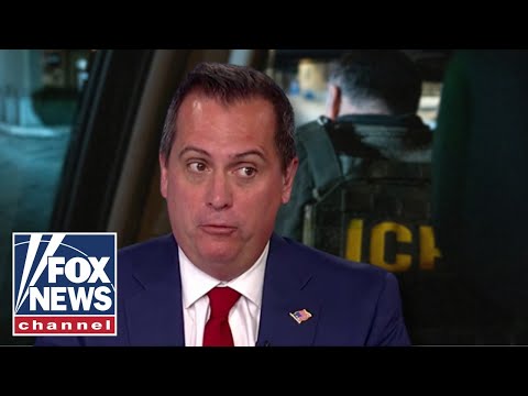 ICE tracking apps put agents in danger, former ICE chief warns