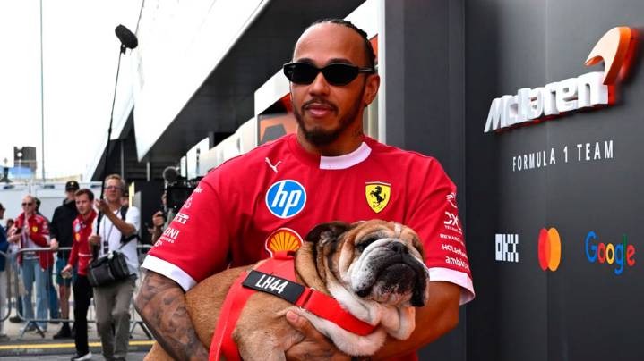 "Murió en mis brazos": la emotiva y desgarradora despedida del piloto Lewis Hamilton a su perro Roscoe
