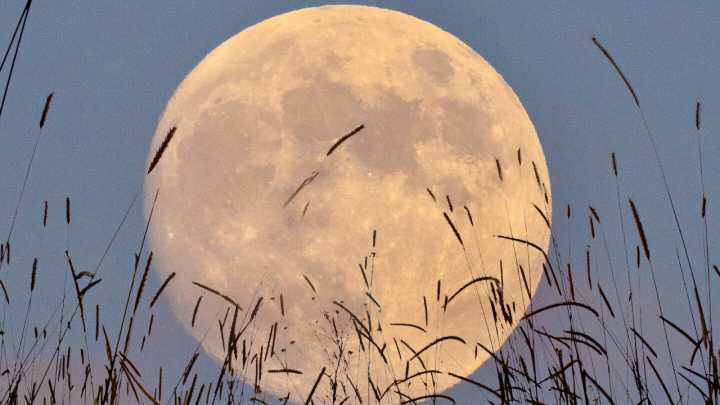 Superluna del 7 de octubre: ¿qué significa la Luna de la Cosecha y qué rituales hacer para la abundancia?