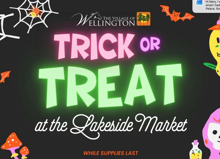 Trick or Treat: Join the Halloween Festivities - South Florida on the Cheap