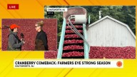 Trending Now Weather Videos
