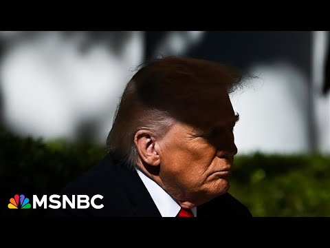‘Layers upon layers of corruption’: Trump reportedly demands $230M for past cases