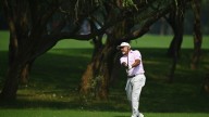 Closing eagle has 47-year-old Rahil Gangjee in early contention in India