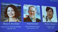 US-Japanese Trio Wins Medicine Nobel: Who Are Mary Brunkow, Fred Ramsdell & Shimon Sakaguchi?