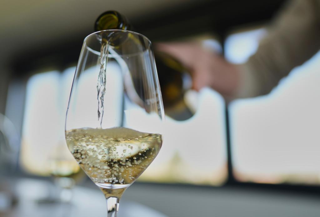 Norfolk's Town Point wine festival: what to know