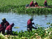 México registra su mejor nivel frente a la sequía en tres años