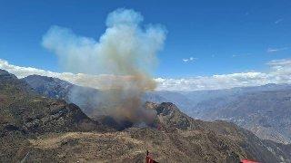 Incendio en Pampacolca arrasa tres hectáreas y autoridades buscan sancionar a responsables