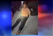 K-9 ataca a inmigrante durante arresto; luego lo entregan al ICE
