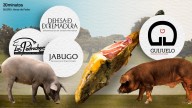 Planas desoye a las DO de ibérico: el proceso sigue para los jamones al 50% de Guijuelo
