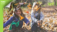 Descubre qué hacer con los más peques de la casa