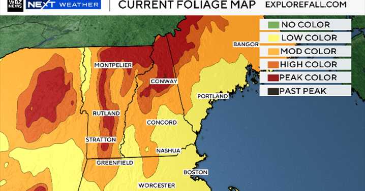 How extreme drought conditions are impacting fall foliage in New England