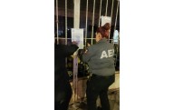 En un año rescatan casi 400 mascotas en operativos contra maltrato