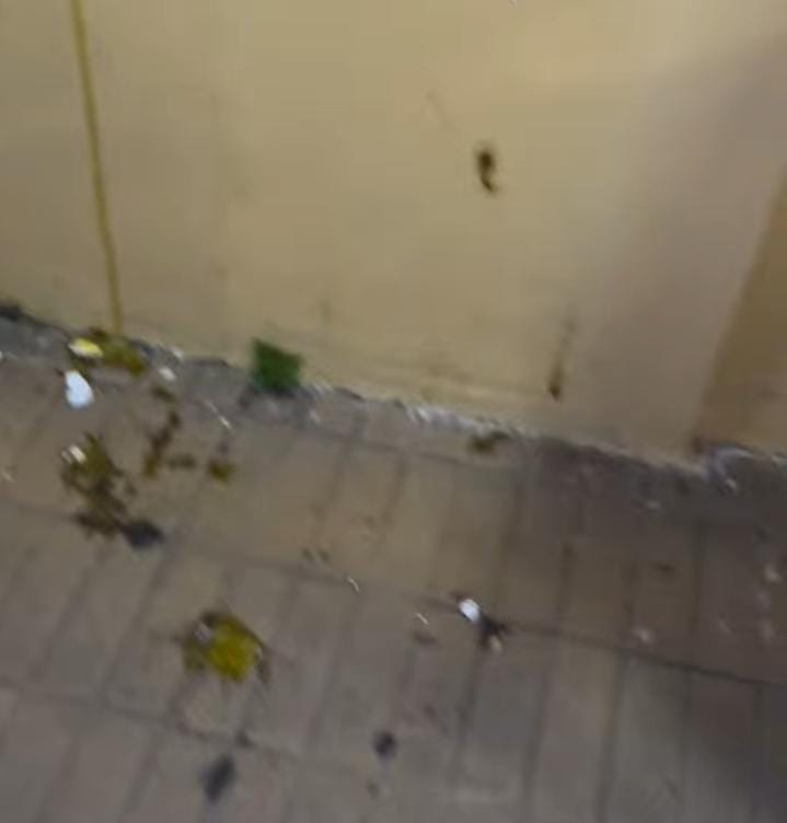 Lanzaron huevos contra el local del PRO en Olavarría