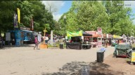 Atlanta Dogwood Festival to charge entry fee amid financial challenges