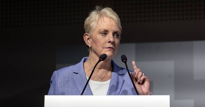 Cindy McCain, 71, Rushed to Hospital in Italy afetr suffering a “a mild stroke.”