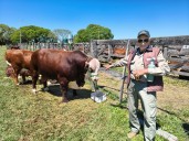En familia desde el monte, apuntando a la cuota Hilton y con toros de 100.000 dosis