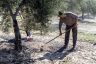 Governments can’t achieve their climate goals if they don’t include local communities