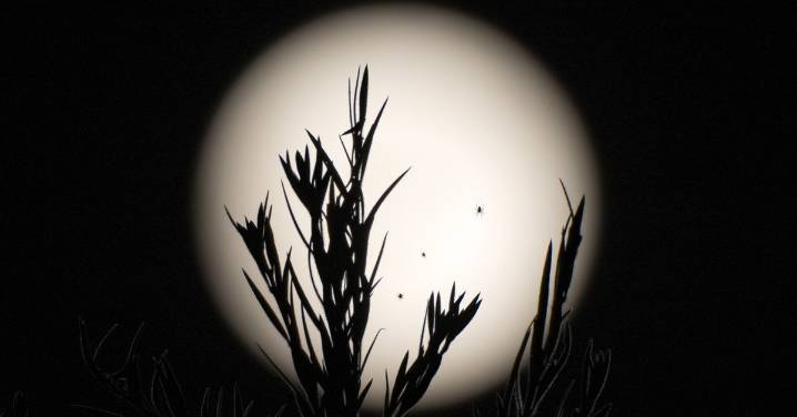 What tomorrow's Hunter Supermoon means for your star sign