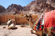 Greece, Egypt agree future of Mount Sinai monastery, Greek PM says